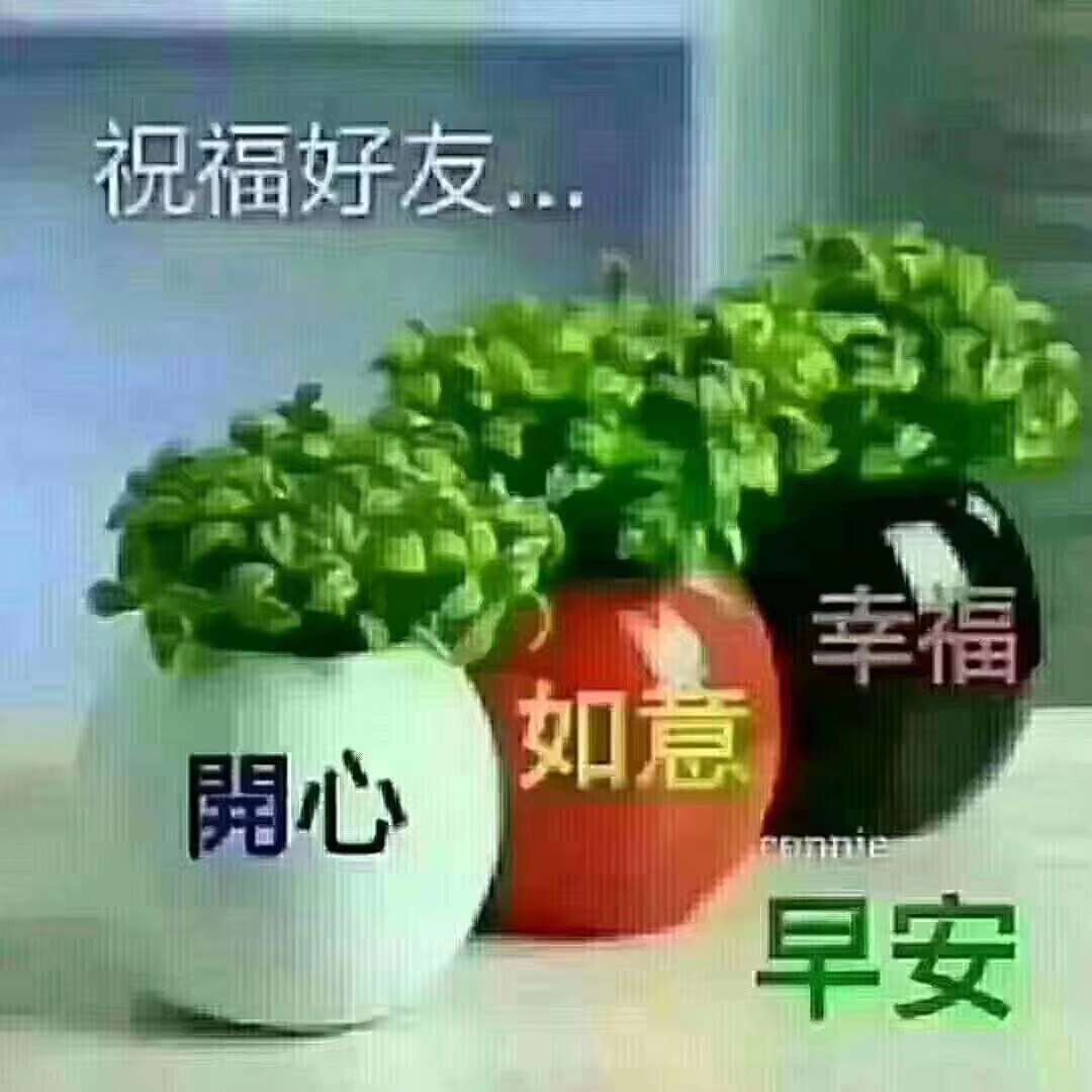 精彩每一天!朋友们早上好! 