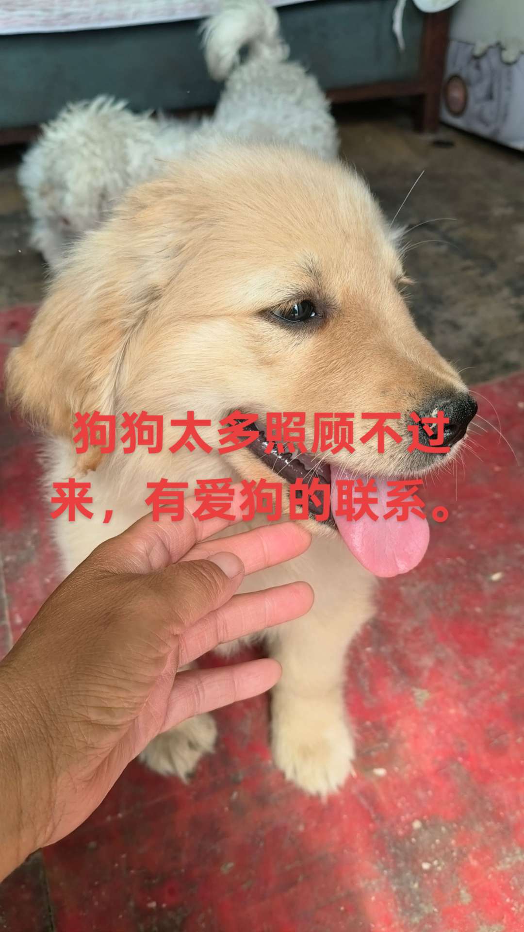 沛县便民网
