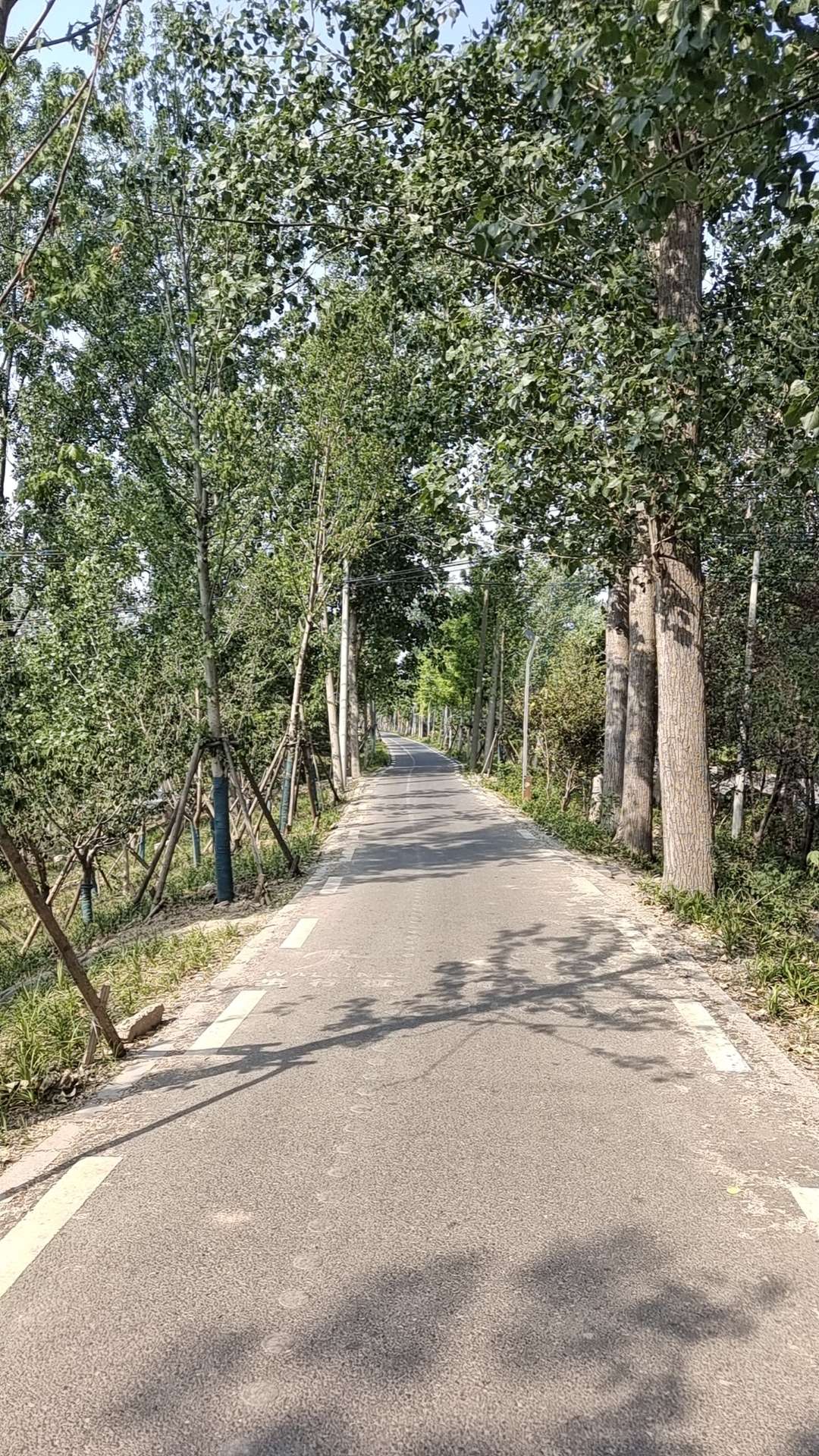 沛县便民网